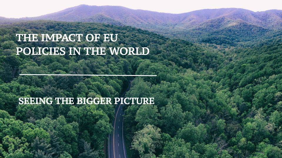 Impact of EU policies in the world: seeing the bigger picture one year on