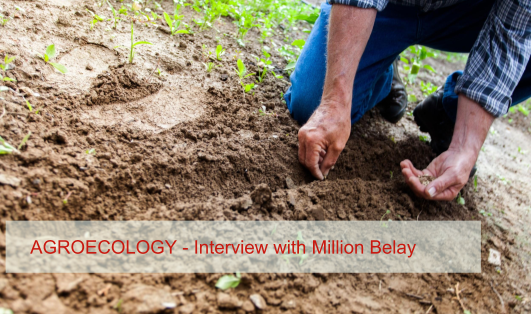 Interview with Million Belay on Agroecology