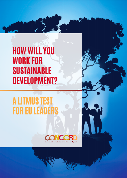 How will you work for sustainable development? A litmus test for EU leaders